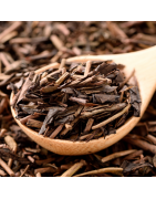 Hojicha