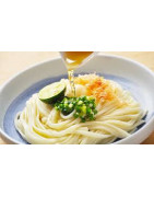 Udon