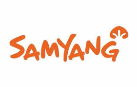 Samyang Potato ramen 120g