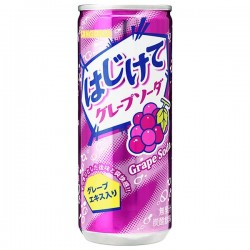 Hajikete Soda Raisin 250G...