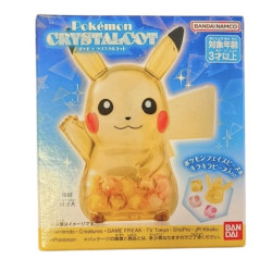 POKEMON 1 Chewing-gum + 1...