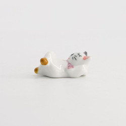 Pose Baguettes Chat sur le Dos