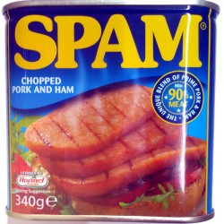 SPAM 340G PORK AND HAM