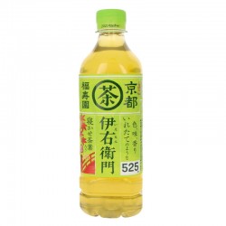 Green Tea Ryokucha IEMON 600ml